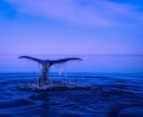 繊細で敏感なあなたの気持ちを受け止めます ざわざわしている気持ちを吐き出すことで、ホッとしてみませんか イメージ4
