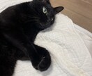 心理学専攻の大学生が相談に乗ります あなたのお悩み何でも聞きます！相談してください イメージ1