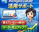 Amplitudeの使い方・分析相談乗ります 「Amplitude導入したけど使えてない…」を解決します イメージ1
