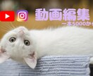 5000円〜動画編集させていただきます 追加オプションありです下記を確認ください イメージ1