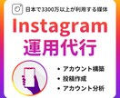 集客を目的としたInstagram運用代行をします SNS運用/集客/アカウント設計/コンセプト設計/インスタ イメージ1