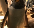 現役カウンセラーがあなたの気持ち受け止めます 愚痴でもお悩みでも雑談でも...話してスッキリしませんか？ イメージ7