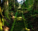 即日鑑定｜一方通行の想いを宿縁に変えます 【5000字越えの本格霊視鑑定】あなたの悩みを根本から紐解く イメージ8