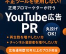 YouTube広告で動画再生数と登録者を獲得します 上級ウェブ解析士資格も所持する広告運用のプロが担当いたします イメージ1