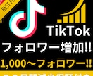 TikTokフォロワー増加します コスパ◎！安く高品質なフォロワーをご提供します イメージ1