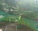 心のお掃除お手伝い致します 先の見えない不安な気持ちを前向きに生きる思考力を育てましょう イメージ3