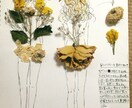 CDジャケットや舞台のチラシ、似顔絵など描きます 芸術大学 現役の学生が学んできた知識を様々な人に役立てます。 イメージ3