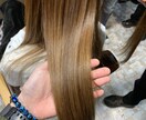 艶髪美容師がヘアケアのトータルプロデュースします 貴方の髪に合わせた、艶髪になるヘアケアの仕方全てご提案✨ イメージ1