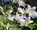 タロットセッション❀夫婦や親子の悩みに寄り添います ご家庭の悩みを優しくサポート/傾聴×対話で心を整える/保健師 イメージ5