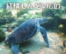 歳の差婚の後悔や愚痴、なんでもお聞きします 聞いてほしいこと、なんでも言ってください イメージ3