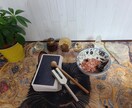 占いします TikTokの占い枠で活躍中！ イメージ1