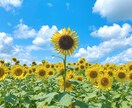 簡単なお悩み相談にのります 現役医療ソーシャルワーカーのちょっぴり相談会 イメージ1