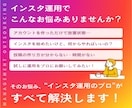 30日間！丸投げOK！インスタグラム運用代行します 忙しいあなたに変わって［ターゲット層］にアプローチします！ イメージ2