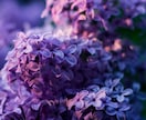 人に話しずらいモヤモヤした悩みや秘密♡受け止めます 抱え込んだ内緒の話を吐き出してスッキリ解消して下さい！✨ イメージ2