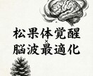 松果体覚醒×脳波最適化で意識拡大 脳を活性化します 量子調律で松果体を整え直感と思考力を高め意識覚醒へ導きます イメージ8