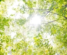 うつの辛さに寄り添います うつ病で2年間精神科を受診した私と辛い気持ちを共有しましょう イメージ6