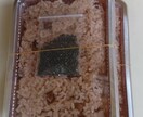 和菓子屋の赤飯の技、教えます ちゃんと、コツがあります赤飯には赤飯のセオリーがあります イメージ2