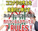 ココナラ販売✳売れてる人のビジネス7原則を教えます 14日無料サポート付！シルバーランクの売上アップを支援！ イメージ1