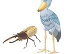 学参用図版・そのほか挿絵などのイラスト作成します ちょっとお堅い感じのイラストや子ども向けの図が得意です。 イメージ2