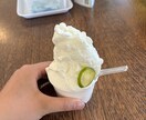 大学生が撮った日常写真を販売します 大学生ならではの視点で切り取った素朴な日常 イメージ9