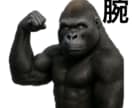 元ボクサーでゴールドジム所属メニュー作成します 増量減量飯筋トレメニュー３日分初購入者様には特典付きです イメージ7
