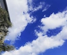 悩みや愚痴を何でも聞かせていただきます 何か仕事や恋愛なんかで疲れている時にもってこい。 イメージ2