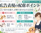 動物病院・トリミングサロン専門のLPを作ります 獣医療の広告ルールに配慮｜原稿ゼロで丸投げOK イメージ6