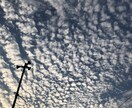 自分が撮った好きな写真を載せます 誰かの目に止まって一緒に共感して貰えたら嬉しいです イメージ9