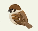 リアルな鳥のイラストを可愛らしく描きます 鳥のふわふわとした質感も表現できます。 イメージ1