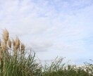 子育て相談、元学習塾や幼稚園の先生が何でもききます どんなお話しも、児童発達支援員の私に聞かせてください！ イメージ1