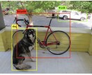 YOLO独自学習モデル作成します あなただけのAI画像認識をつくります！ イメージ1