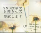 SNS投稿文・お知らせ文を丁寧に作成します 想いを大切に気持ちが伝わる文章にしてみませんか？ イメージ1