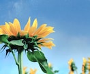 引き寄せ加速✴︎運気上昇✴︎波動修正を行います 霊感•霊視で波動を整え、運に愛される体質へ！ イメージ7