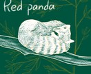 動物、花、人物のイラストを描きます あたたかみのあるイラストをご希望の方ぜひお任せください！ イメージ5