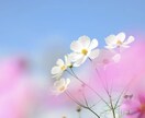 現役ナースが、悩み、恋愛、健康、雑談相談のります あなたの心を癒します✨1人で抱え込まないで♪ イメージ4