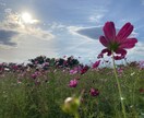 お話し聞かせていただきます 心のモヤモヤ晴れにしましょう！ イメージ1