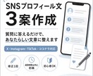 SNSプロフィール文をヒアリングから3案作ります 質問に答えるだけ！用途や雰囲気に合わせて伝わる文章に整えます イメージ1