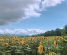 札幌移住を検討中の方にメリデメをお伝えします 東京で14年働いた後、札幌へ移住した経験談 イメージ1