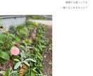 循環する庭作りの相談にのります 農薬や化学肥料に頼らない庭作りを一緒に考えましょう イメージ9