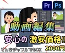20人以上収益化させた私が動画編集を代行ます 動画編集のプロの動画編集代行サービス イメージ1