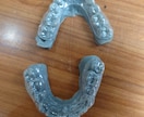 歯科限定　３Dプリントモデル出力します 歯列模型をプリントアウトいたします イメージ1