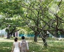 思い出のお写真にイラストでデコレーションします 写真×イラストで、写真に物語を。唯一無二の一枚に。 イメージ2
