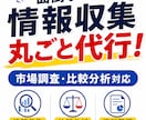 市場リサーチから分析、資料作成・実務まで伴走します レスポンスの速さ◎土日祝日対応可◎ イメージ2