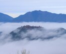 素敵な写真お届けします 必要な写真を可能な限りお送りします！ イメージ4