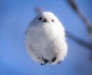 気になるお相手の気持ちを霊視します 不安　もやもやをスッキリさせませんか イメージ1