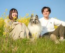 ペットの可愛い表情を撮影します ペットとの大切な日常の思い出を写真に残しませんか？ イメージ5