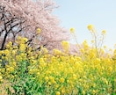 4月限定☆あなたのライフコーチつとめます 4月からの生活が、心配や不安でいっぱいの方へ。 イメージ1