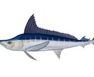 論文への使用OK!リアルな魚のイラスト描きます 論文やポスターなどの挿絵に使用できる魚のイラストを作成します イメージ2