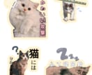 写真を送るだけ！LINEスタンプ制作します 面倒な準備なし◎かわいく使いやすいオリジナルスタンプ作成！ イメージ1