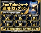 Youtubeショート運用代行します 企画・台本・編集・投稿までYouTubeショート丸ごとお任せ イメージ5